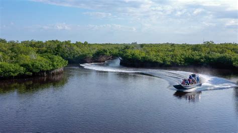 Florida Swamp Tours - The “Original” Everglades City Airboat Tours