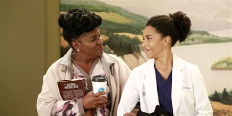 Grey's Anatomy Season 13 Episode 12 Recap & Review - None of Your Business