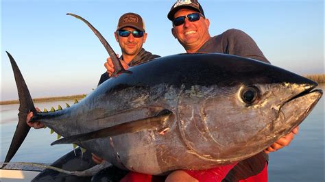 Massive Yellowfin Tuna Vs Big Blackfin Tuna Catch Clean Cook blind ...