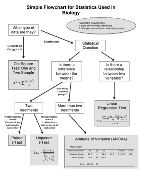 How To Choose A Statistical Test Flow Chart - Flowchart Examples