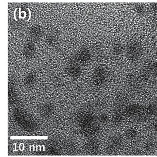 (a) Schematic illustration of the apoferritin protein cage for ...