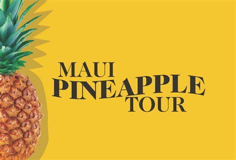 MAUI PINEAPPLE TOUR (2024) All You Need to Know BEFORE You Go (with ...