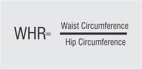 Waist To Hip Ratio Calculator (WHR) | Body Shape Calculator