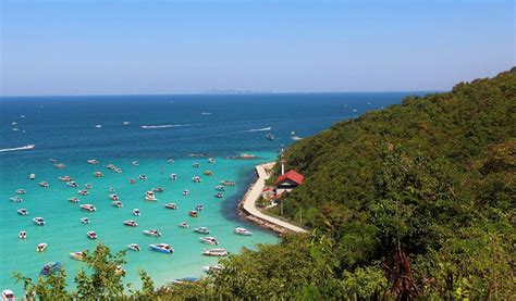 Coral Island Pattaya Day Tour with Seafood or Indian Lunch - Trazy ...