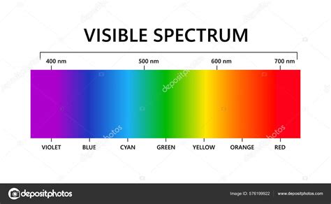 Visible Light Spectrum Electromagnetic Visible Color Spectrum Human Eye ...