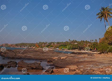 Vagator beach stock photo. Image of light, reed, coconut - 52504196