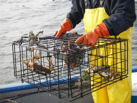 Crab Fishing Tips to Catch More Customers - Marketing Done ...