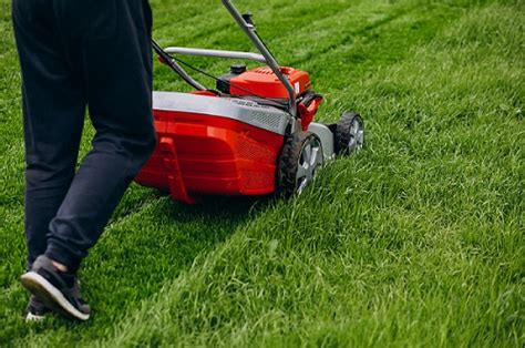 Environmentally Friendly Lawn Care: How to Maintain An Eco Friendly Lawn