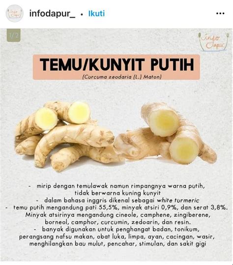 temu putih vs kunyit putih - AgustintaroChan