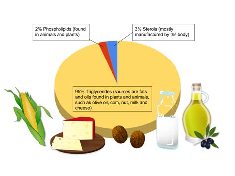 LIPIDS