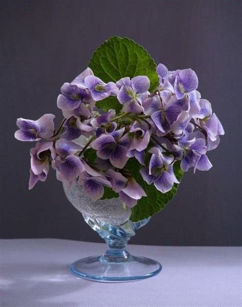 Floral Arrangement ~ Such sweet violets… Lavender Cottage, Lovely ...