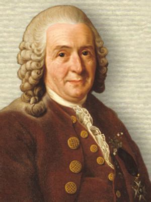 Carl Linnaeus's Instagram, Twitter & Facebook on IDCrawl