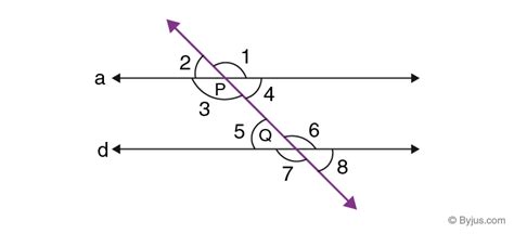 Alternate Interior Angles In Hindi – Two Birds Home