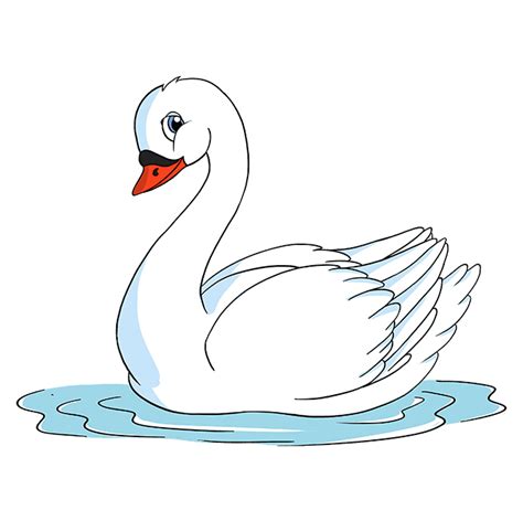 How To Draw A Baby Swan