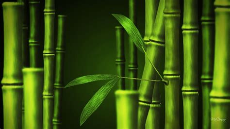 26 Bamboo Wallpapers - Wallpaperboat