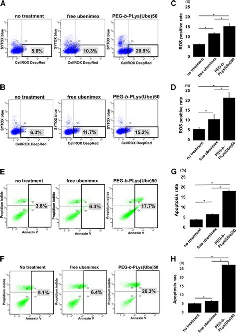 The effects of treatment on ROS levels and apoptosis. a–d Measurement ...