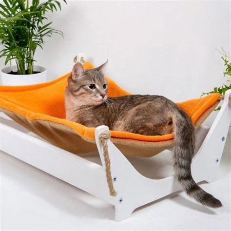 Best Cat Hammocks (2021) | meowpassion