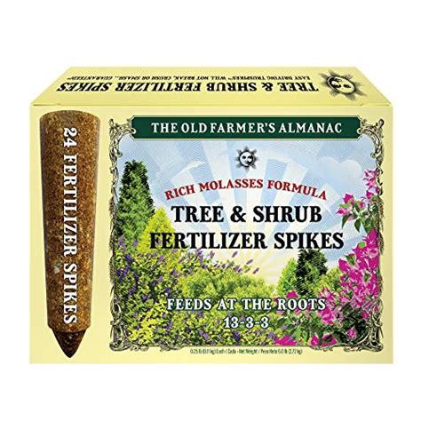 12 Best Pecan Tree Fertilizer for 2024 | Storables