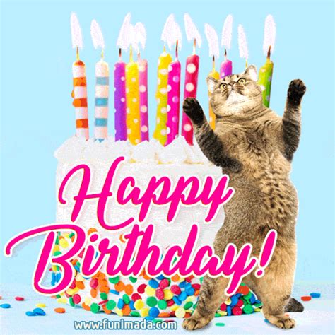 Happy Birthday Cats GIFs - Download on Funimada.com