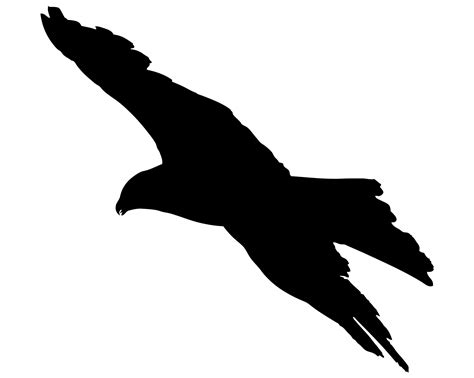 Bird Flying Silhouette Free Stock Photo - Public Domain Pictures