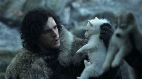 Game Of Thrones Direwolf Pups