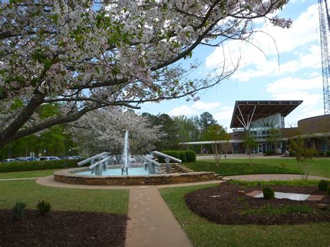 Peachtree City Library and Fountain with cherry blossoms | Peachtree ...