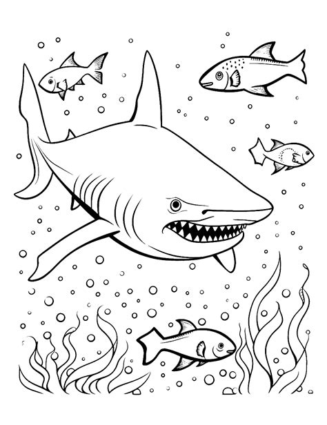 50 Shark Coloring Pages: Fun Printable Sheets