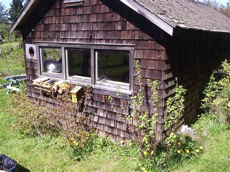 A perfect location for mason bee houses - Beediverse Mason Bees