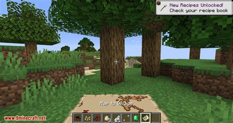 Bird Nests and Treasures Mod (1.16.5, 1.15.2) - Random Collectable ...