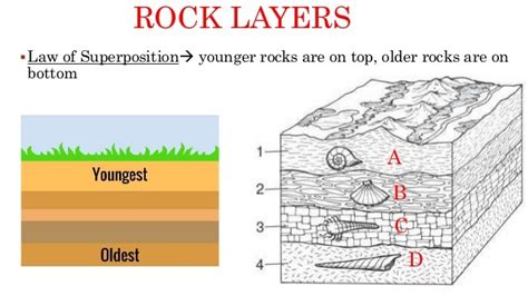 Sedimentary Rock Layers Diagram