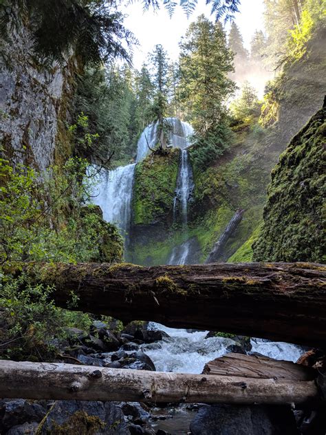 Gifford Pinchot National Forest