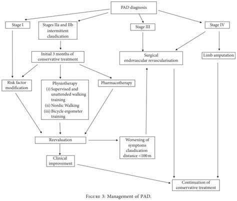 Intermittent Claudication in Physiotherapists’ Practice – A Review ...