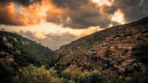 Mount Carmel National Park | Attractions in Mount Carmel, Israel