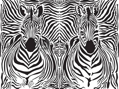 Zebra pattern background by ard1 Vectors & Illustrations with Unlimited ...