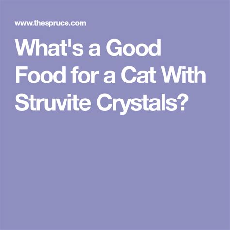 How to Prevent Recurrence of Struvite Crystals | Good food, Crystals, Food