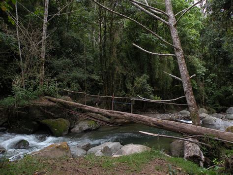 Log bridge across the river | victoriaporter * | Flickr