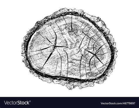 Distressed wood texture Royalty Free Vector Image