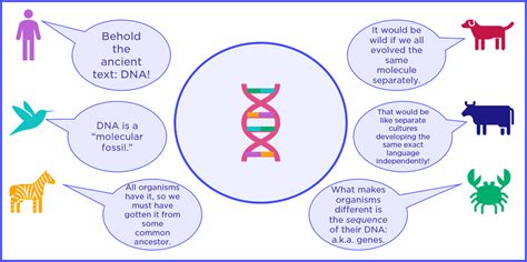 Examples Of Dna Evidence