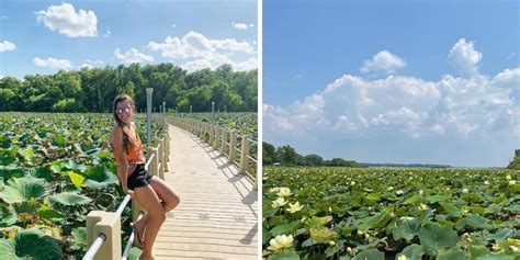 This Floating Boardwalk In Texas Is One Of The World's Longest & It’s ...