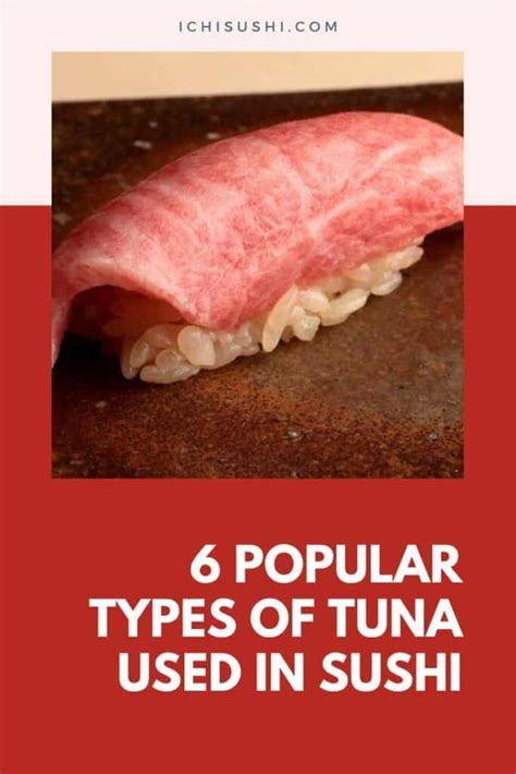 6 Popular Types Of Tuna Used In Sushi