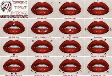 15 Different Lip Piercings You Need To Know | Mouth piercings ...