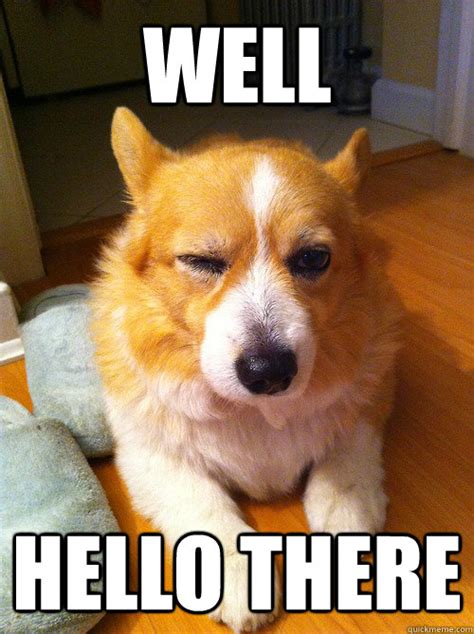 well hello there - Corgi Come Hither Wink - quickmeme