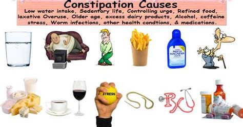 10 Common Causes of Constipation