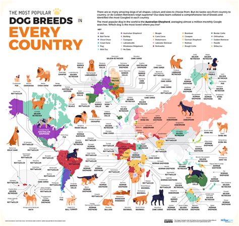 The Most Popular Dog Breed in Every Country [MAP] | Most popular dog ...