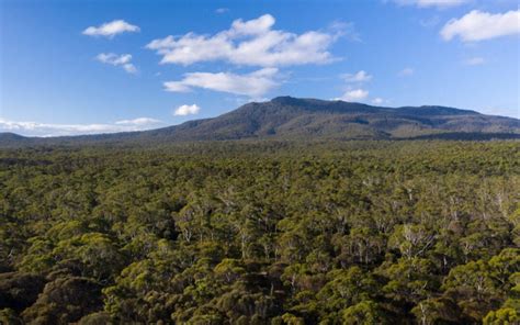 16 Fun Things to Do on Maria Island Tasmania + Travel Guide