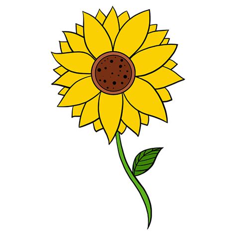 How To Draw A Sunflower For Kids / Easy sunflower art for kids ...