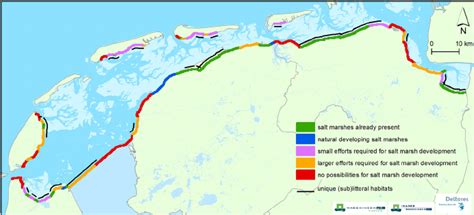 Salt marsh potential map ’ with locations along the Dutch Wadden Sea ...