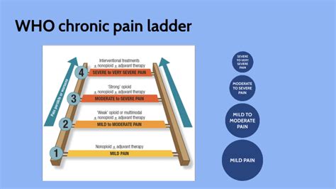 WHO chronic pain ladder by Helena Read on Prezi