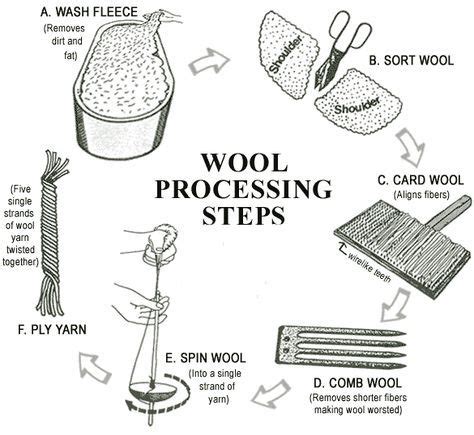 Diagram of the steps involved in the processing of Wool: WASHING ...