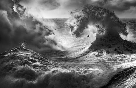 Download Black & White Nature Wave HD Wallpaper